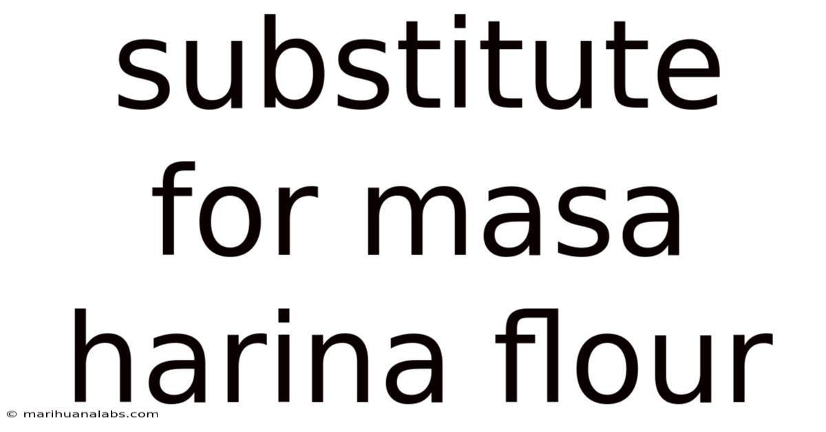 Substitute For Masa Harina Flour