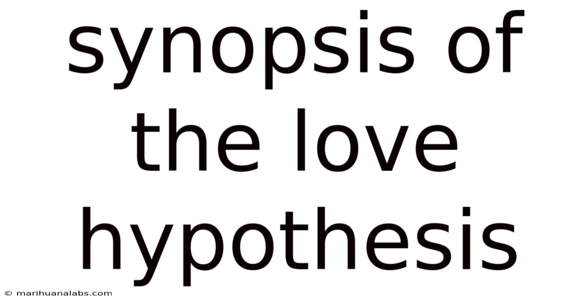 Synopsis Of The Love Hypothesis