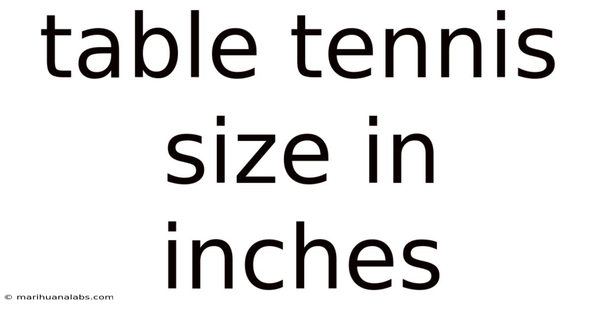 Table Tennis Size In Inches