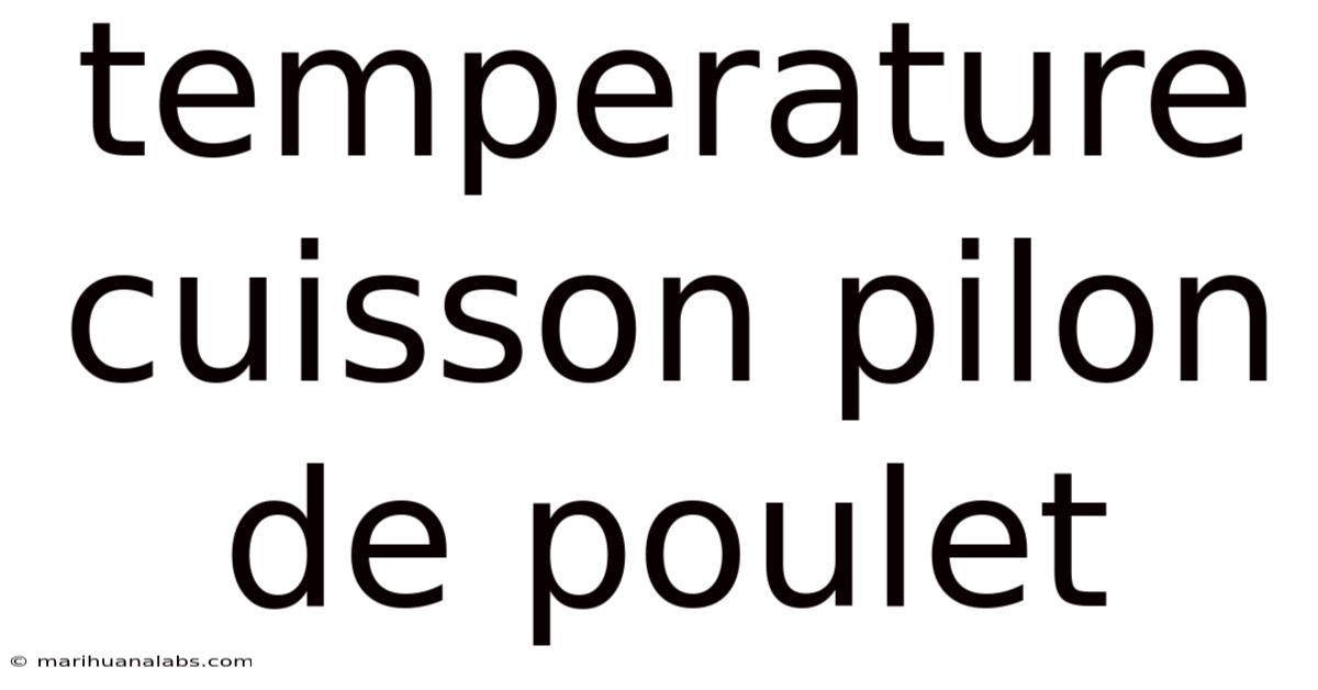 Temperature Cuisson Pilon De Poulet