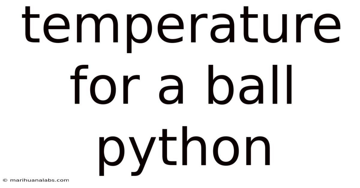 Temperature For A Ball Python