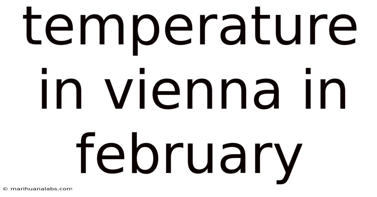 Temperature In Vienna In February