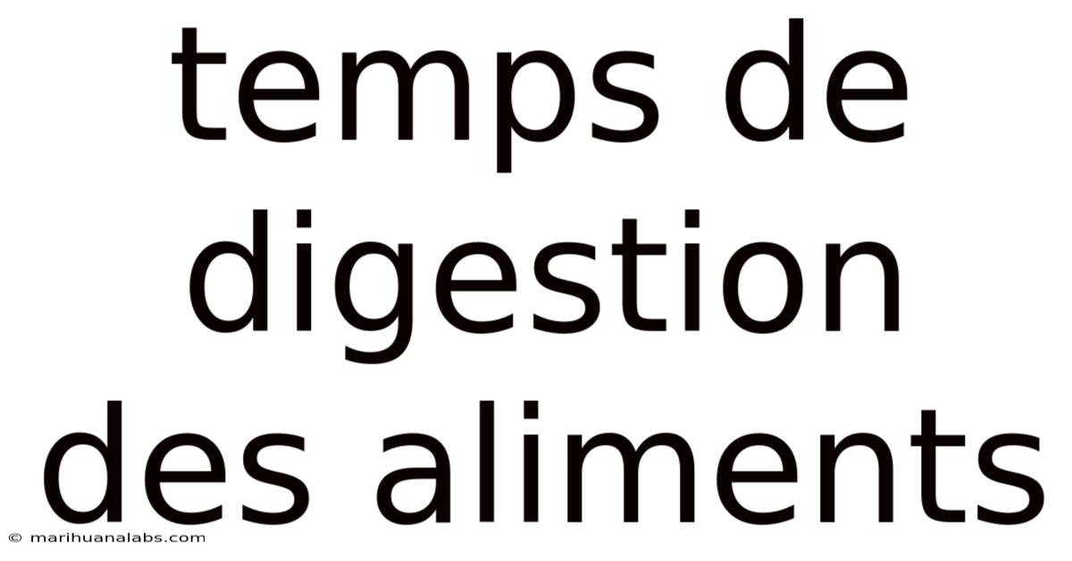 Temps De Digestion Des Aliments