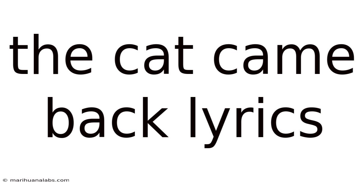 The Cat Came Back Lyrics