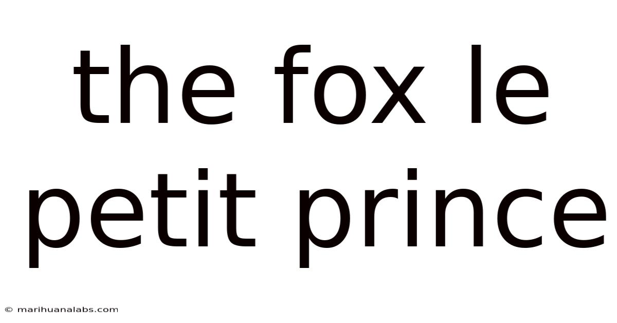 The Fox Le Petit Prince