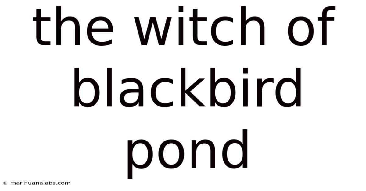 The Witch Of Blackbird Pond