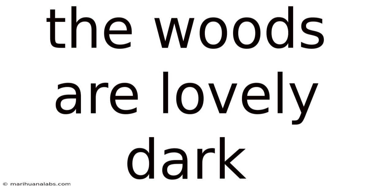 The Woods Are Lovely Dark