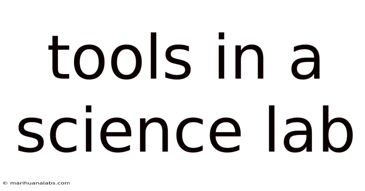 Tools In A Science Lab