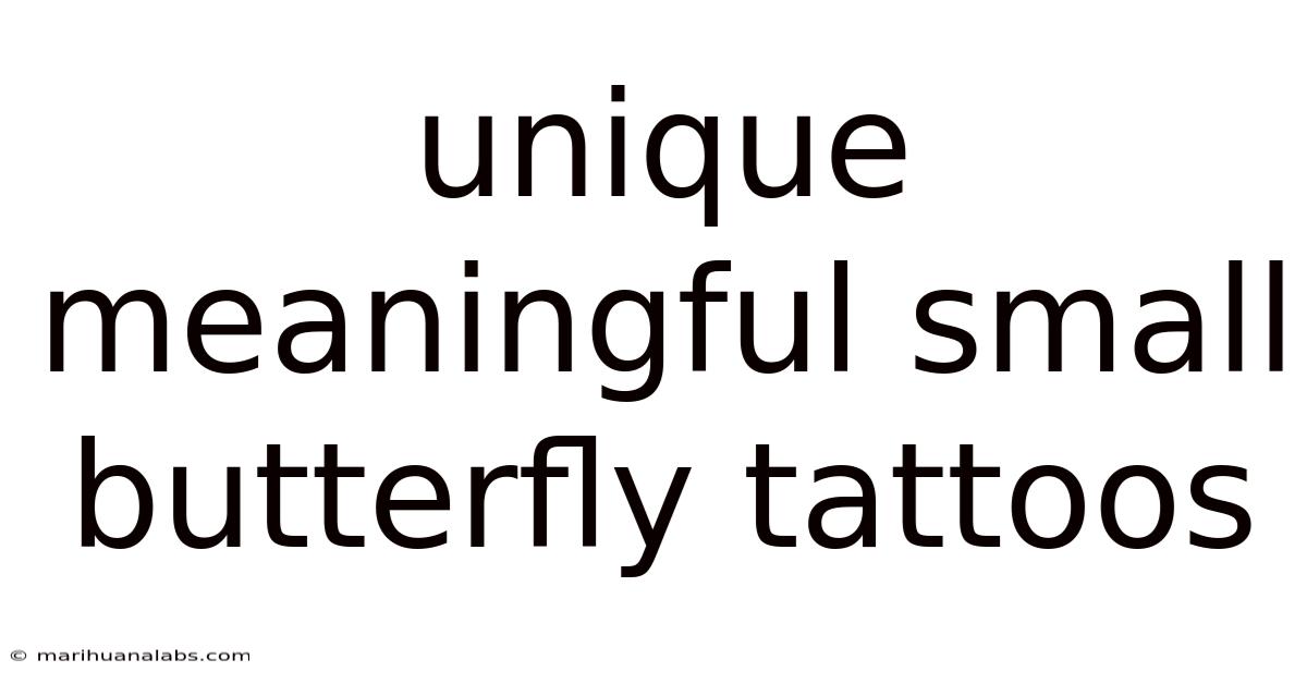 Unique Meaningful Small Butterfly Tattoos