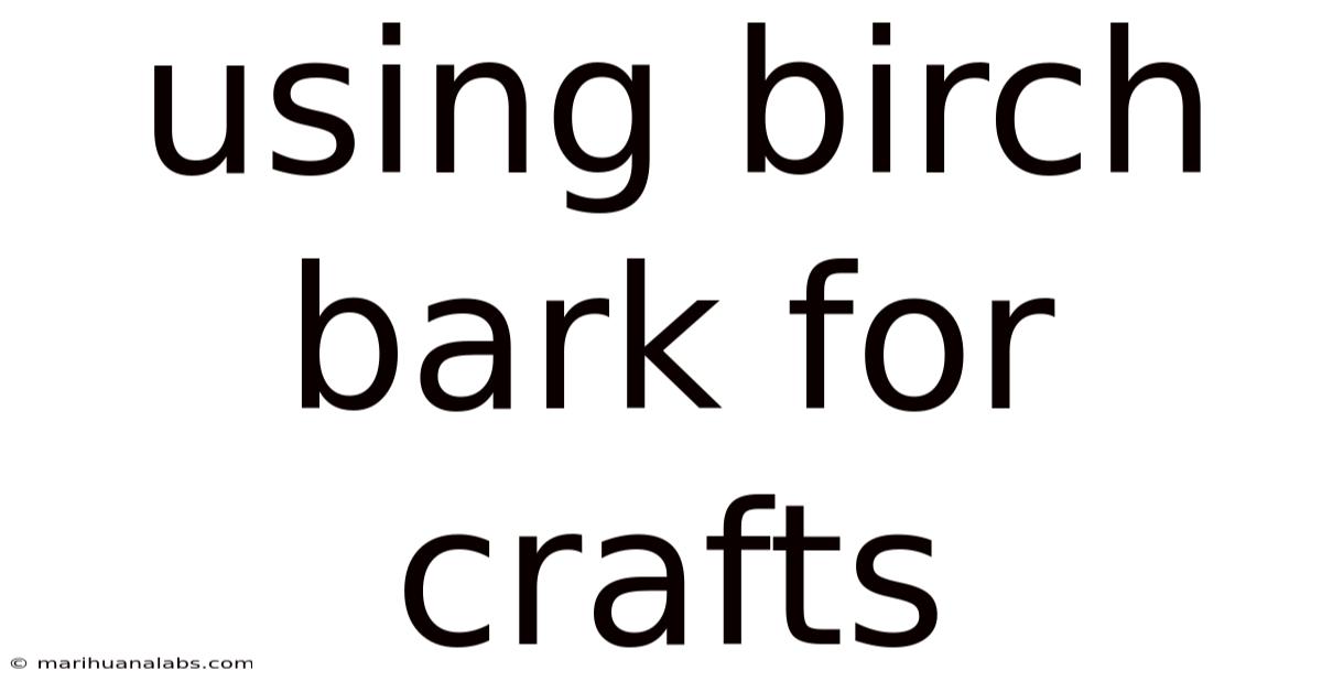 Using Birch Bark For Crafts