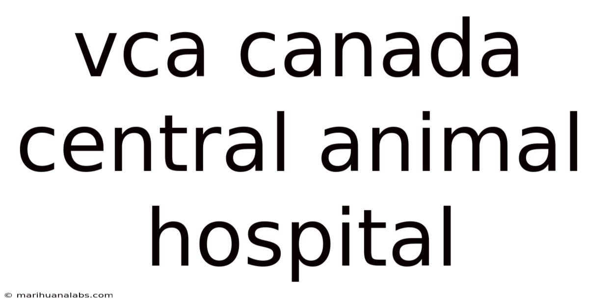 Vca Canada Central Animal Hospital
