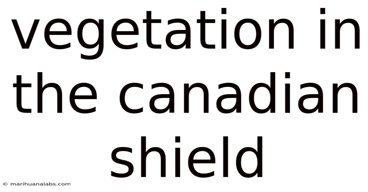 Vegetation In The Canadian Shield