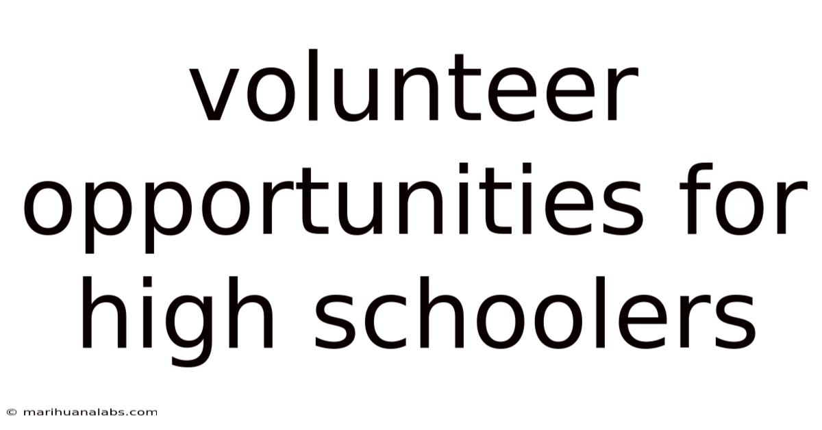 Volunteer Opportunities For High Schoolers