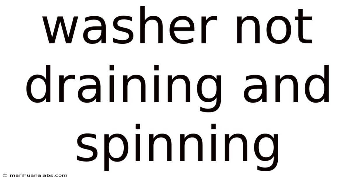 Washer Not Draining And Spinning