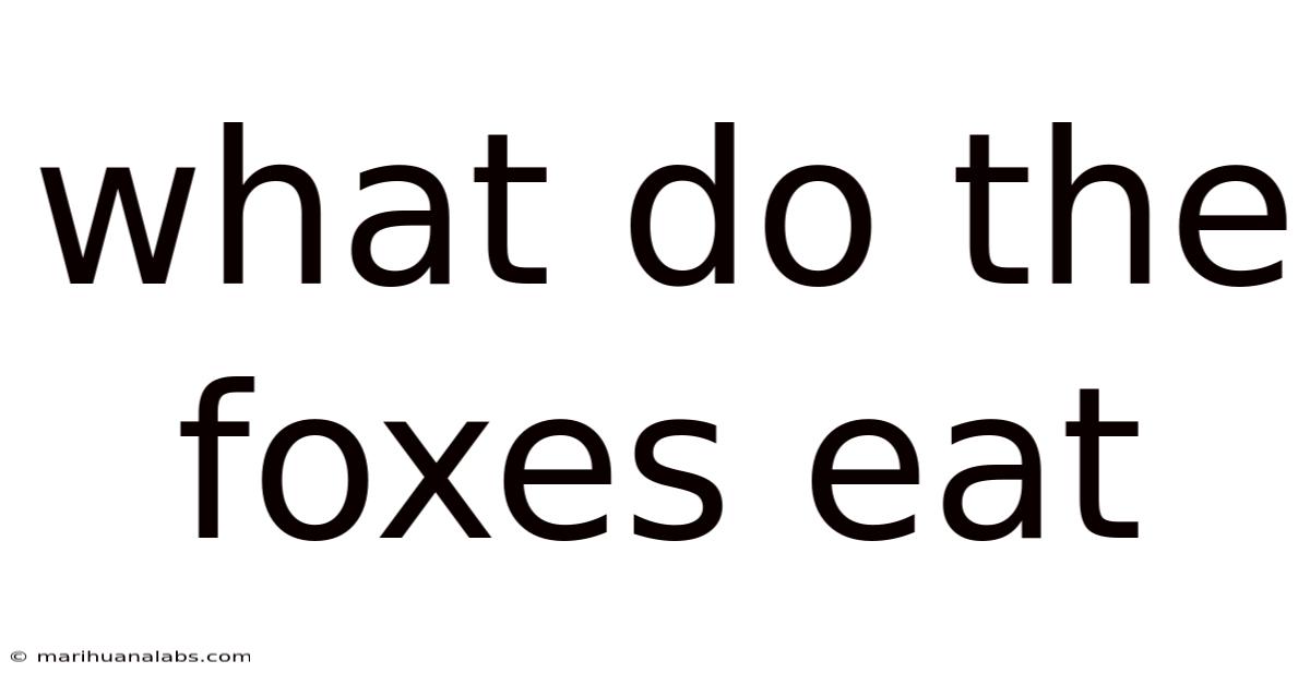 What Do The Foxes Eat