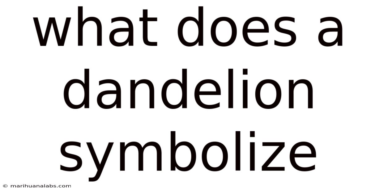 What Does A Dandelion Symbolize