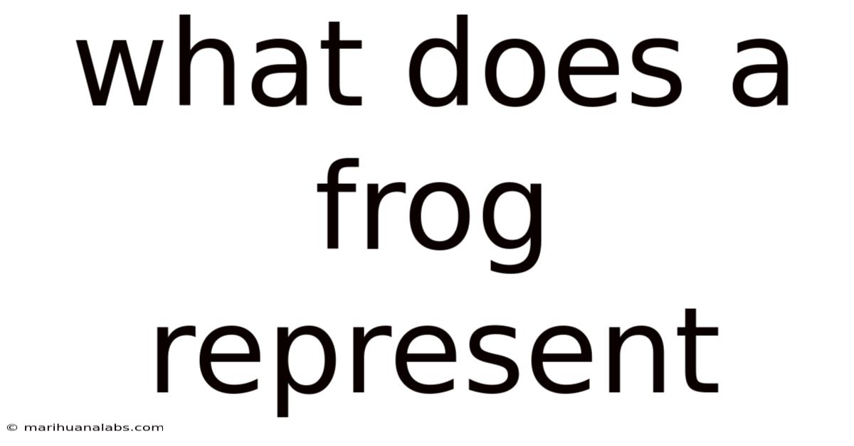 What Does A Frog Represent