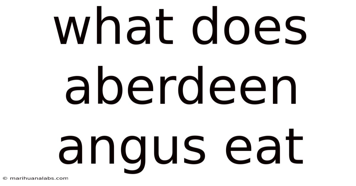 What Does Aberdeen Angus Eat