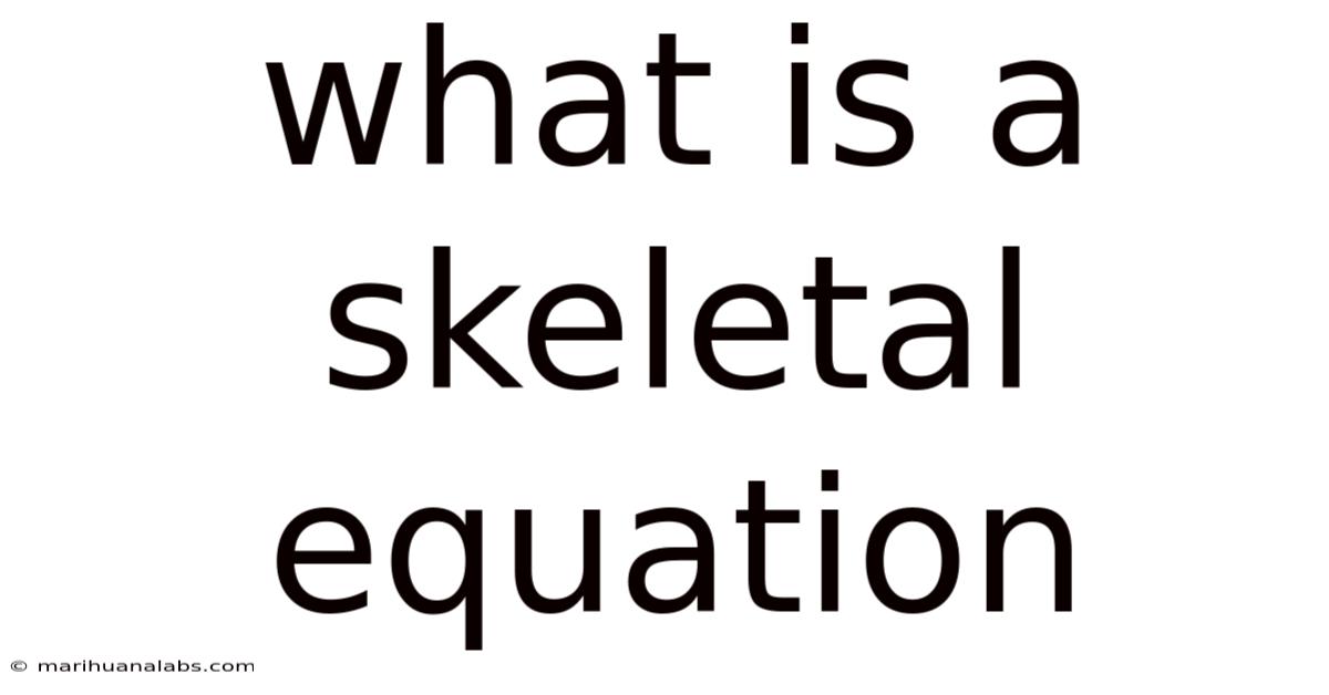 What Is A Skeletal Equation