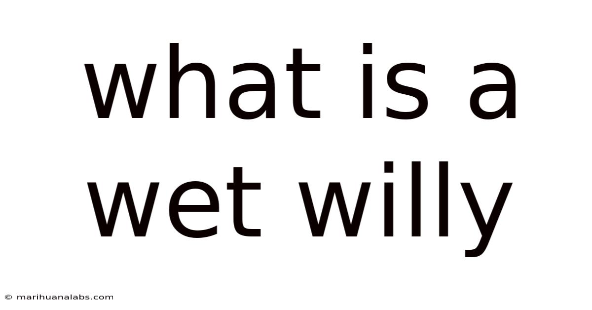 What Is A Wet Willy