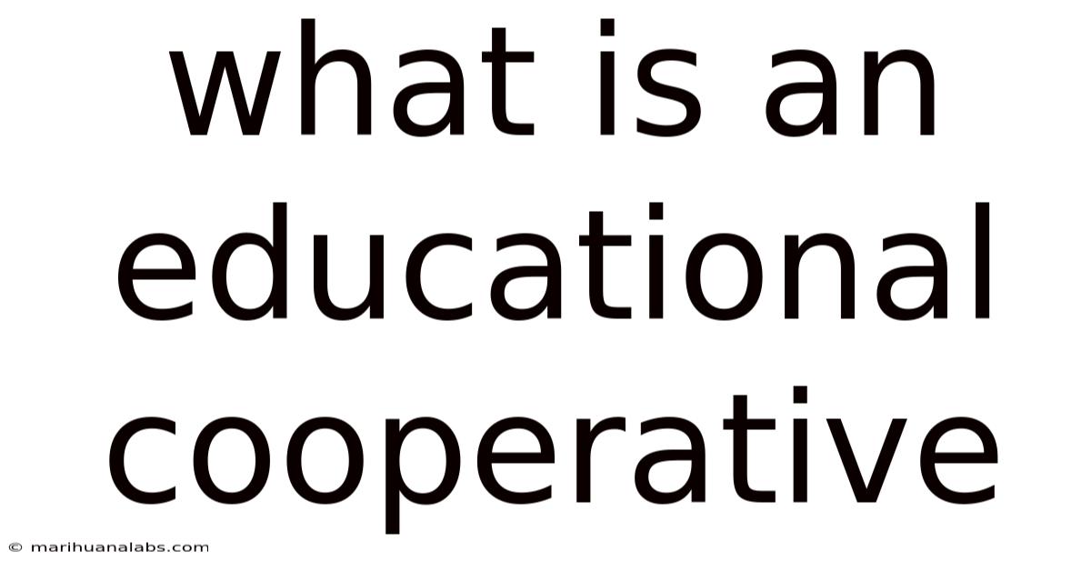 What Is An Educational Cooperative