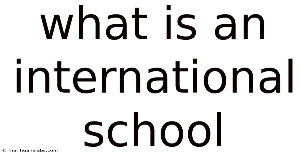 What Is An International School