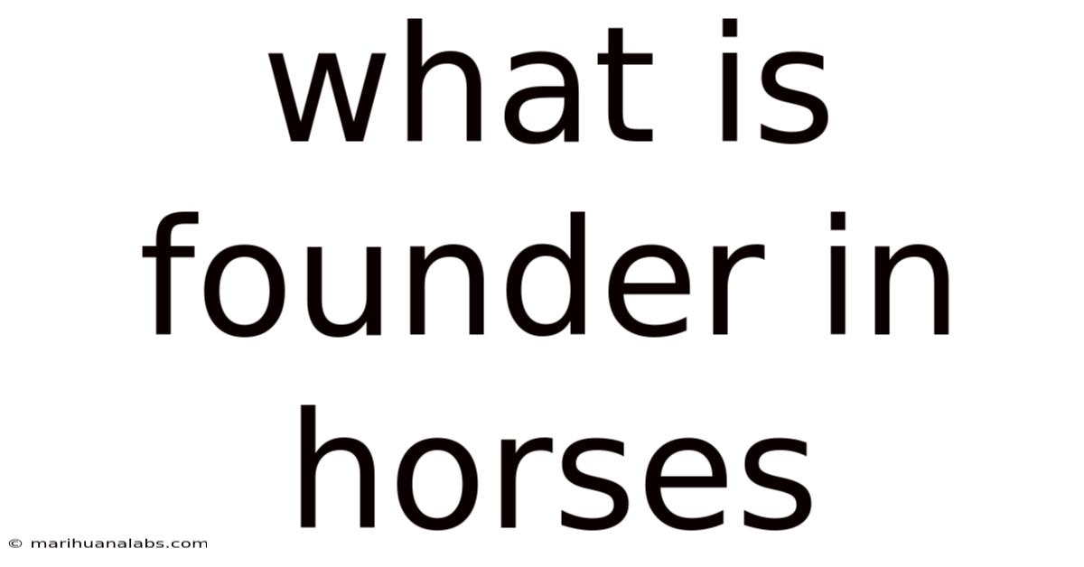 What Is Founder In Horses