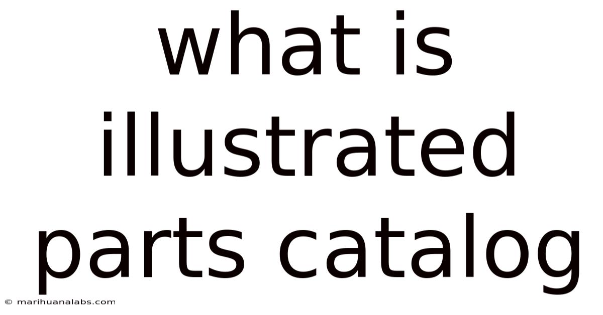 What Is Illustrated Parts Catalog
