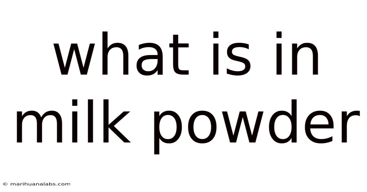 What Is In Milk Powder
