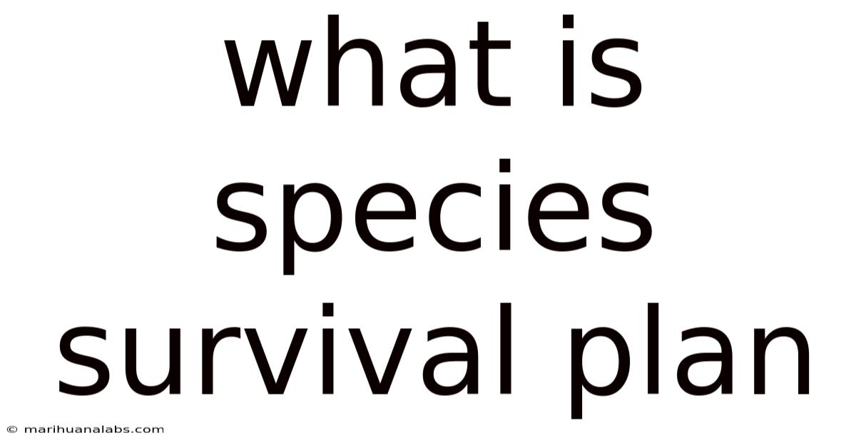 What Is Species Survival Plan