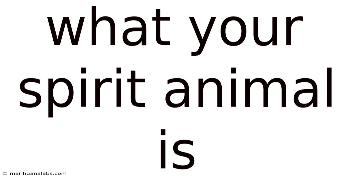 What Your Spirit Animal Is
