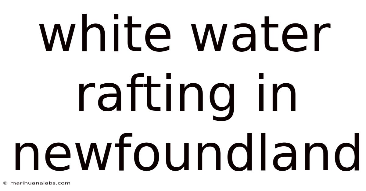 White Water Rafting In Newfoundland