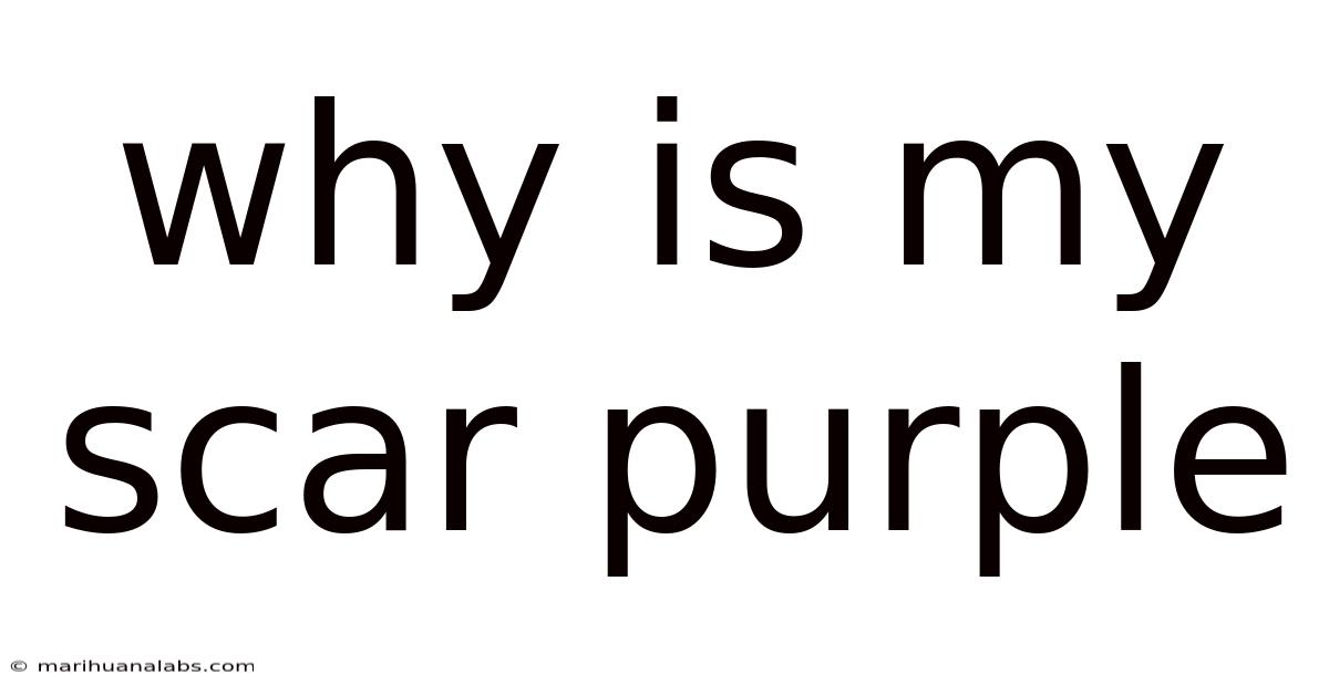Why Is My Scar Purple