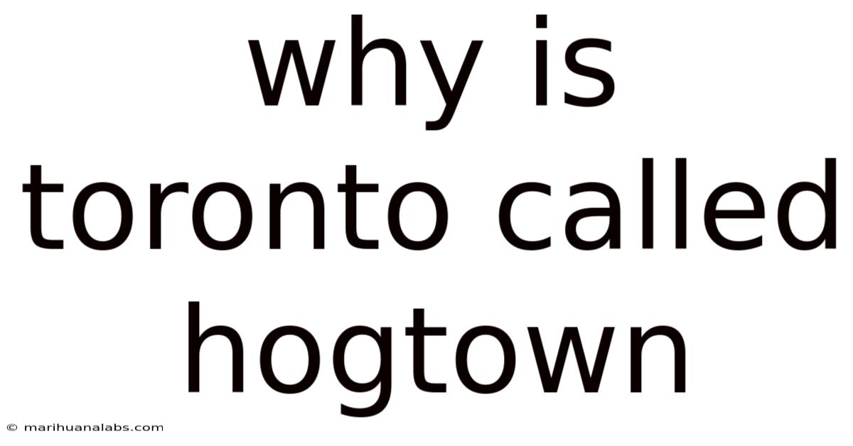 Why Is Toronto Called Hogtown