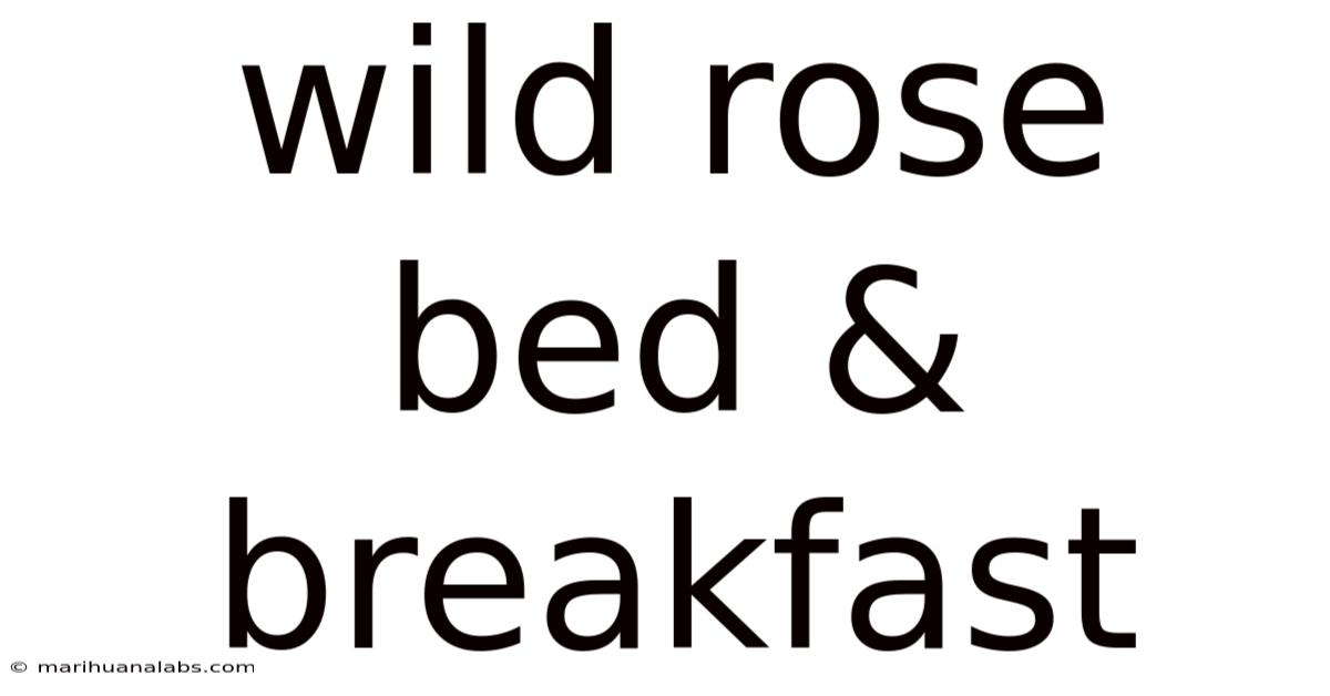 Wild Rose Bed & Breakfast