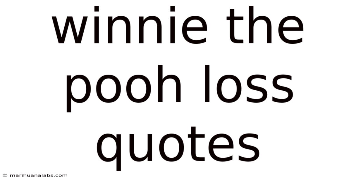 Winnie The Pooh Loss Quotes