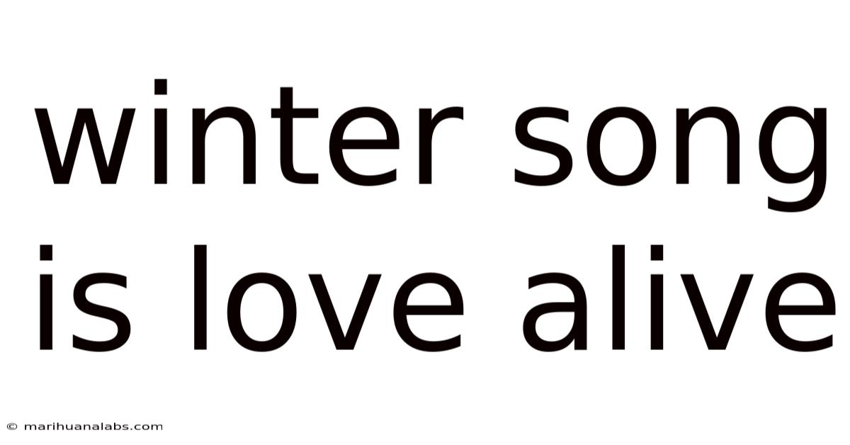 Winter Song Is Love Alive