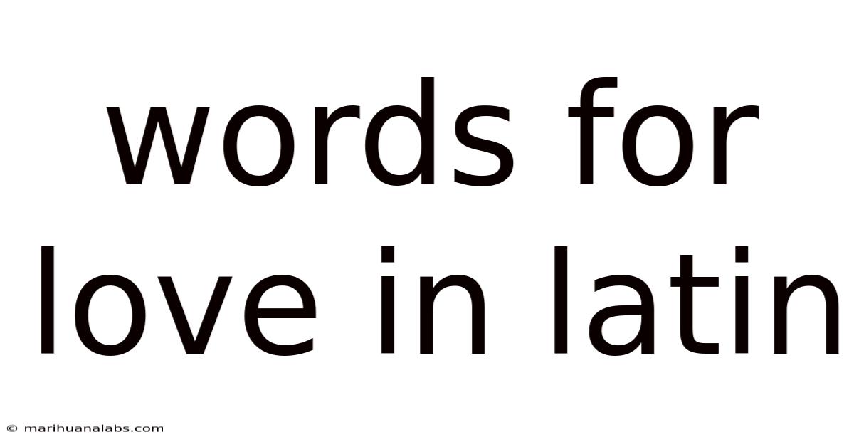 Words For Love In Latin