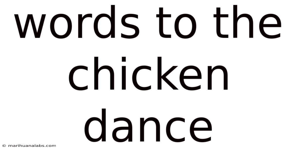 Words To The Chicken Dance